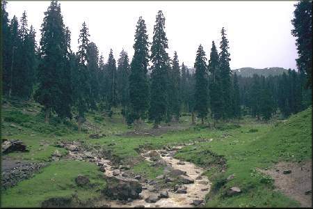 Gulmarg